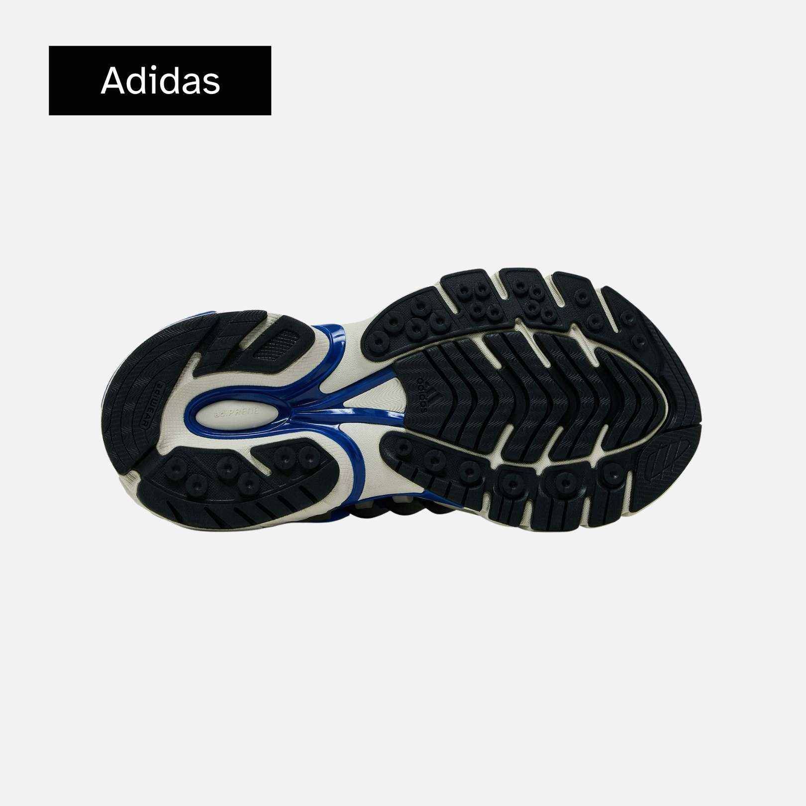 Pharrell x VIRGINIA x adidas Adistar Jellyfish 'Royal Blue'