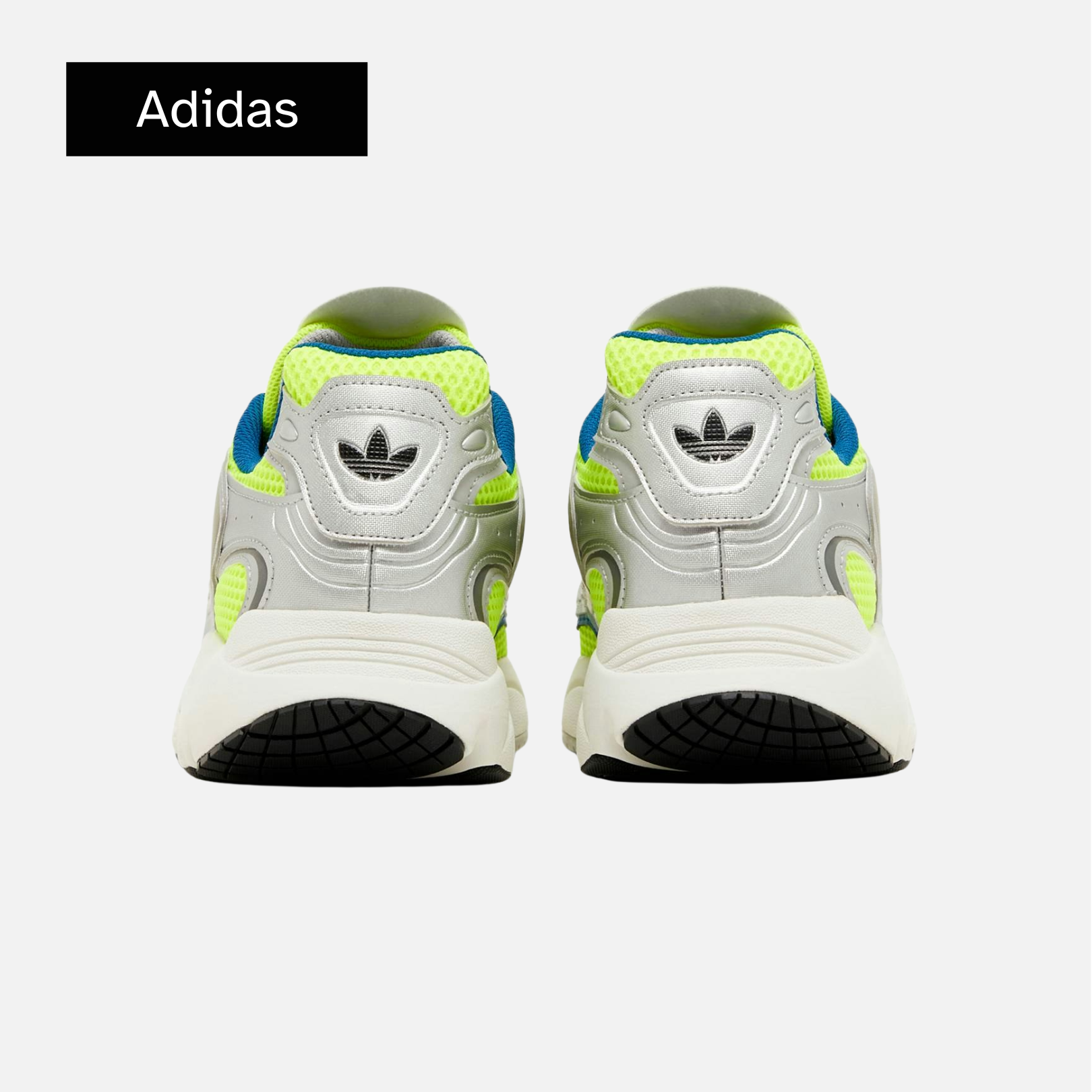 Ozmillen 'Silver Solar Yellow'
