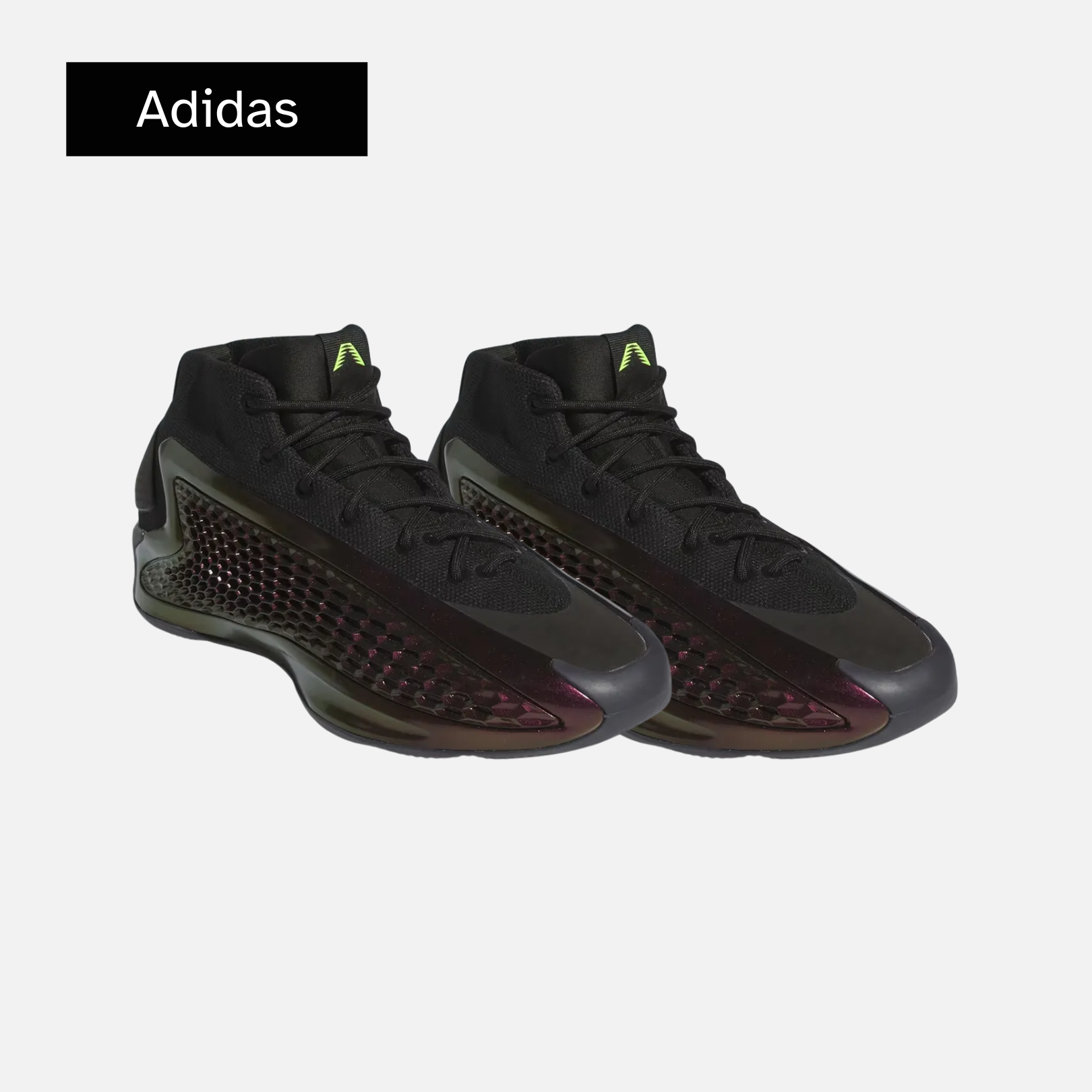 AE 1 'The Future'
