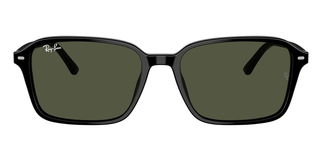 Ray-Ban Raimond RB 2231 901/31