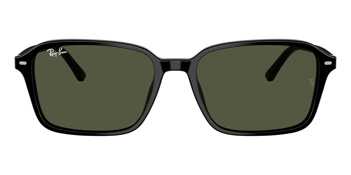 Ray-Ban Raimond RB 2231 901/31
